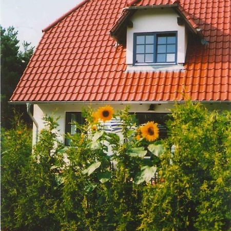 Lindenstr_32B Zingst Exterior foto