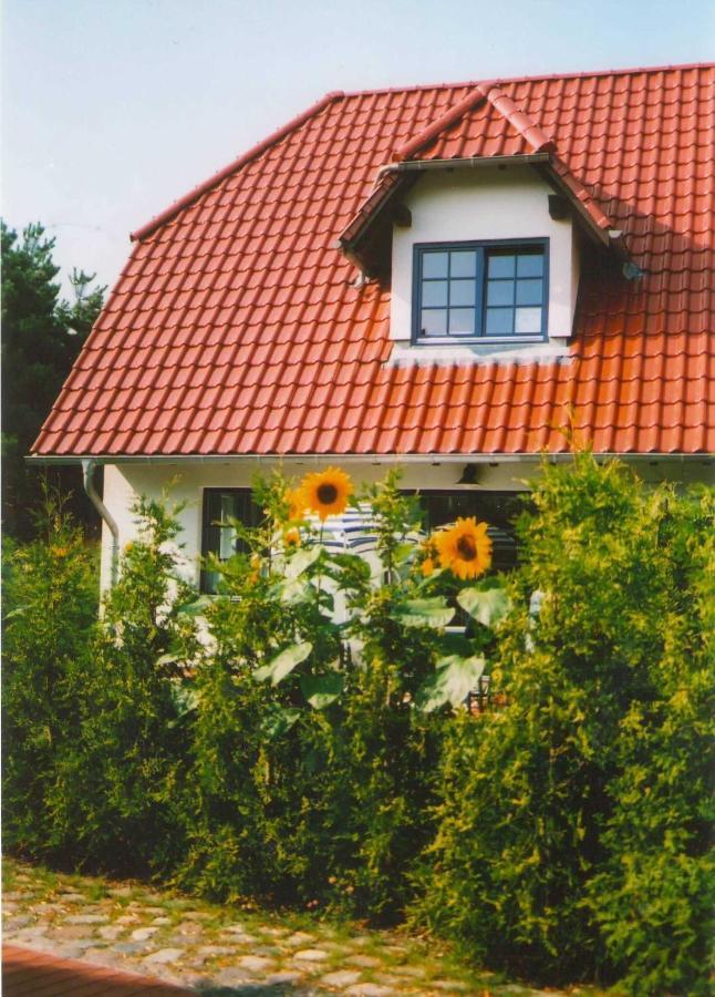 Lindenstr_32B Zingst Exterior foto